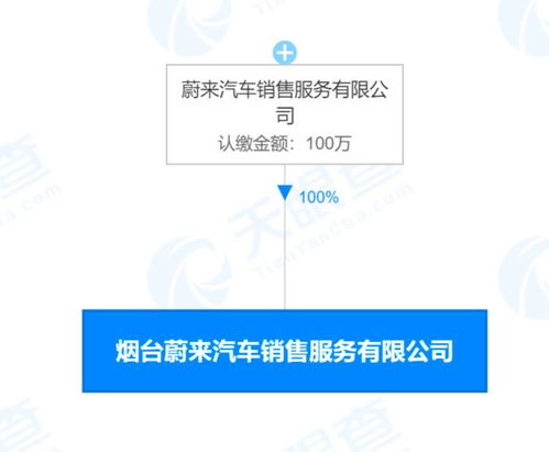 蔚來(lái)新公司業(yè)務(wù)版圖再擴(kuò)張 從高端電動(dòng)車(chē)到網(wǎng)約車(chē)與品牌服務(wù)的戰(zhàn)略布局